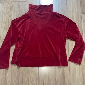 Soft Red Velvet Turtleneck TBD P